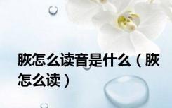 脄怎么读音是什么（脄怎么读）