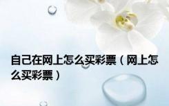 自己在网上怎么买彩票（网上怎么买彩票）