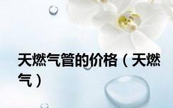 天燃气管的价格（天燃气）