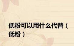低粉可以用什么代替（低粉）