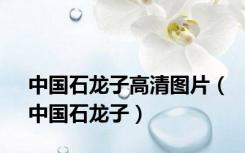 中国石龙子高清图片（中国石龙子）