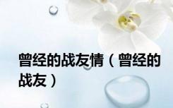 曾经的战友情（曾经的战友）