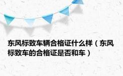 东风标致车辆合格证什么样（东风标致车的合格证是否和车）