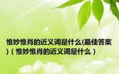 惟妙惟肖的近义词是什么(最佳答案)（惟妙惟肖的近义词是什么）