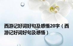 西游记好词好句及感悟20字（西游记好词好句及感悟）