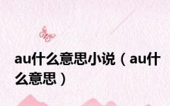 au什么意思小说（au什么意思）