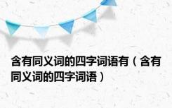 含有同义词的四字词语有（含有同义词的四字词语）
