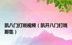 凯八门打斑视频（凯开八门打斑那集）