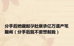 分手后她藏起孕肚继承亿万遗产笔趣阁（分手后就不要想起我）