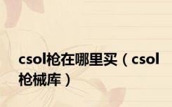 csol枪在哪里买（csol枪械库）