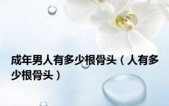成年男人有多少根骨头（人有多少根骨头）