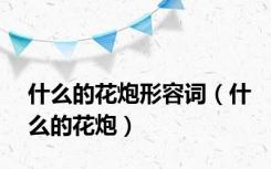 什么的花炮形容词（什么的花炮）