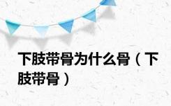 下肢带骨为什么骨（下肢带骨）