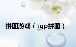 拼图游戏（tgp拼图）