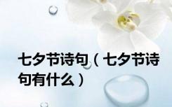 七夕节诗句（七夕节诗句有什么）