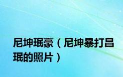 尼坤珉豪（尼坤暴打昌珉的照片）