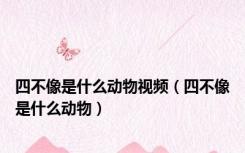 四不像是什么动物视频（四不像是什么动物）