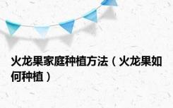 火龙果家庭种植方法（火龙果如何种植）