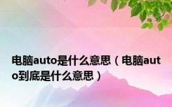 电脑auto是什么意思（电脑auto到底是什么意思）