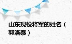 山东现役将军的姓名（郭洛泰）