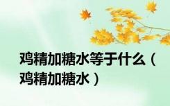 鸡精加糖水等于什么（鸡精加糖水）