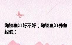 陶瓷鱼缸好不好（陶瓷鱼缸养鱼经验）