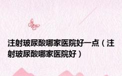注射玻尿酸哪家医院好一点（注射玻尿酸哪家医院好）