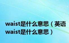 waist是什么意思（英语waist是什么意思）