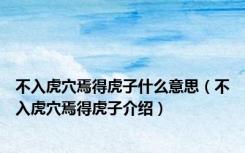 不入虎穴焉得虎子什么意思（不入虎穴焉得虎子介绍）