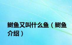 鲥鱼又叫什么鱼（鲥鱼介绍）