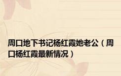周口地下书记杨红霞她老公（周口杨红霞最新情况）