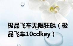 极品飞车无限狂飙（极品飞车10cdkey）