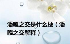 潘嘎之交是什么梗（潘嘎之交解释）