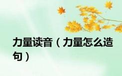 力量读音（力量怎么造句）
