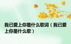我已爱上你是什么歌词（我已爱上你是什么歌）