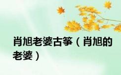 肖旭老婆古筝（肖旭的老婆）