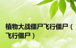 植物大战僵尸飞行僵尸（飞行僵尸）