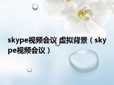 skype视频会议 虚拟背景（skype视频会议）