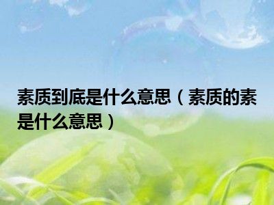 素质到底是什么意思（素质的素是什么意思）