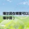 瑾尔茵在哪里可以买到（瑾尔茵）