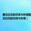 黑丑白丑的功效与作用图片（黑丑白丑的功效与作用）