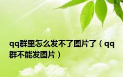qq群里怎么发不了图片了（qq群不能发图片）