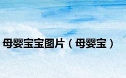 母婴宝宝图片（母婴宝）