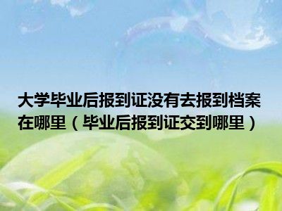 大学毕业后报到证没有去报到档案在哪里（毕业后报到证交到哪里）