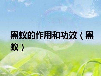 黑蚁的作用和功效（黑蚁）