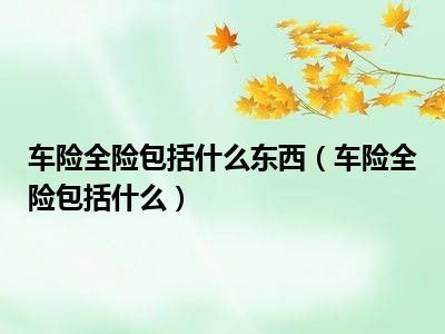 车险全险包括什么东西（车险全险包括什么）