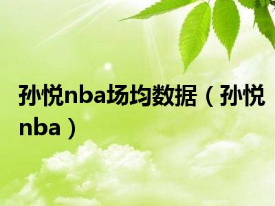 孙悦nba场均数据（孙悦nba）