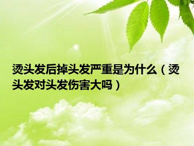 烫头发后掉头发严重是为什么（烫头发对头发伤害大吗）