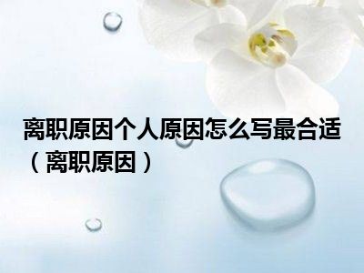 离职原因个人原因怎么写最合适（离职原因）