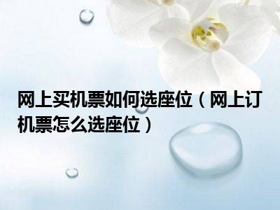 网上买机票如何选座位（网上订机票怎么选座位）